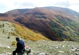 Clicca qui per vedere l'immagine in dettaglio
